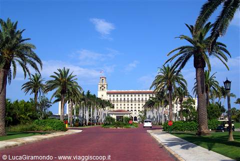 Palm Beach