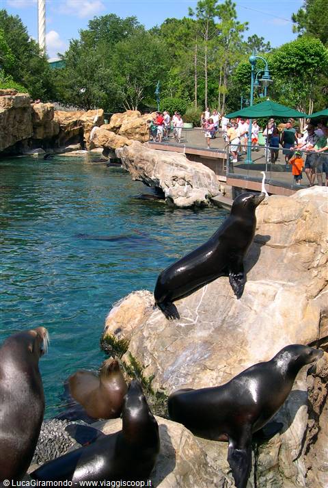Sea World (Orlando)