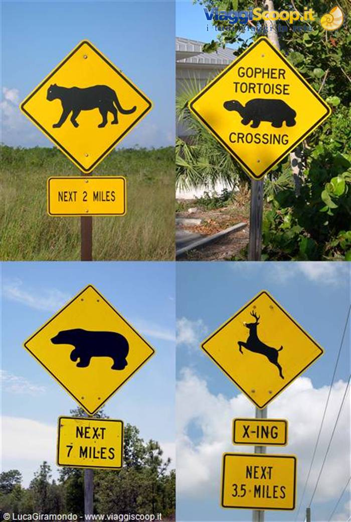 Florida ... Nature signs