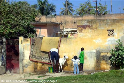 ... along the roads of Senegal