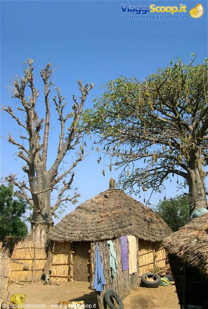 Village in the savannah