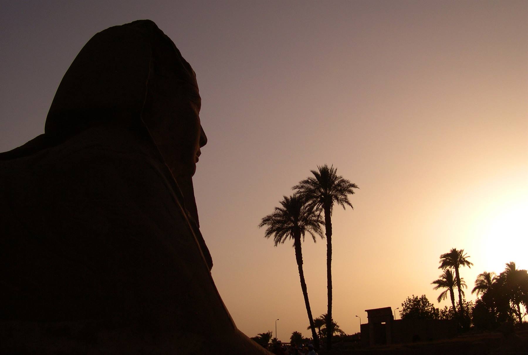 Temple of Luxor