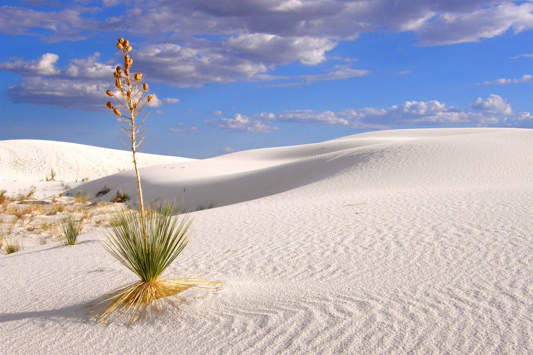 White Sands National Monument