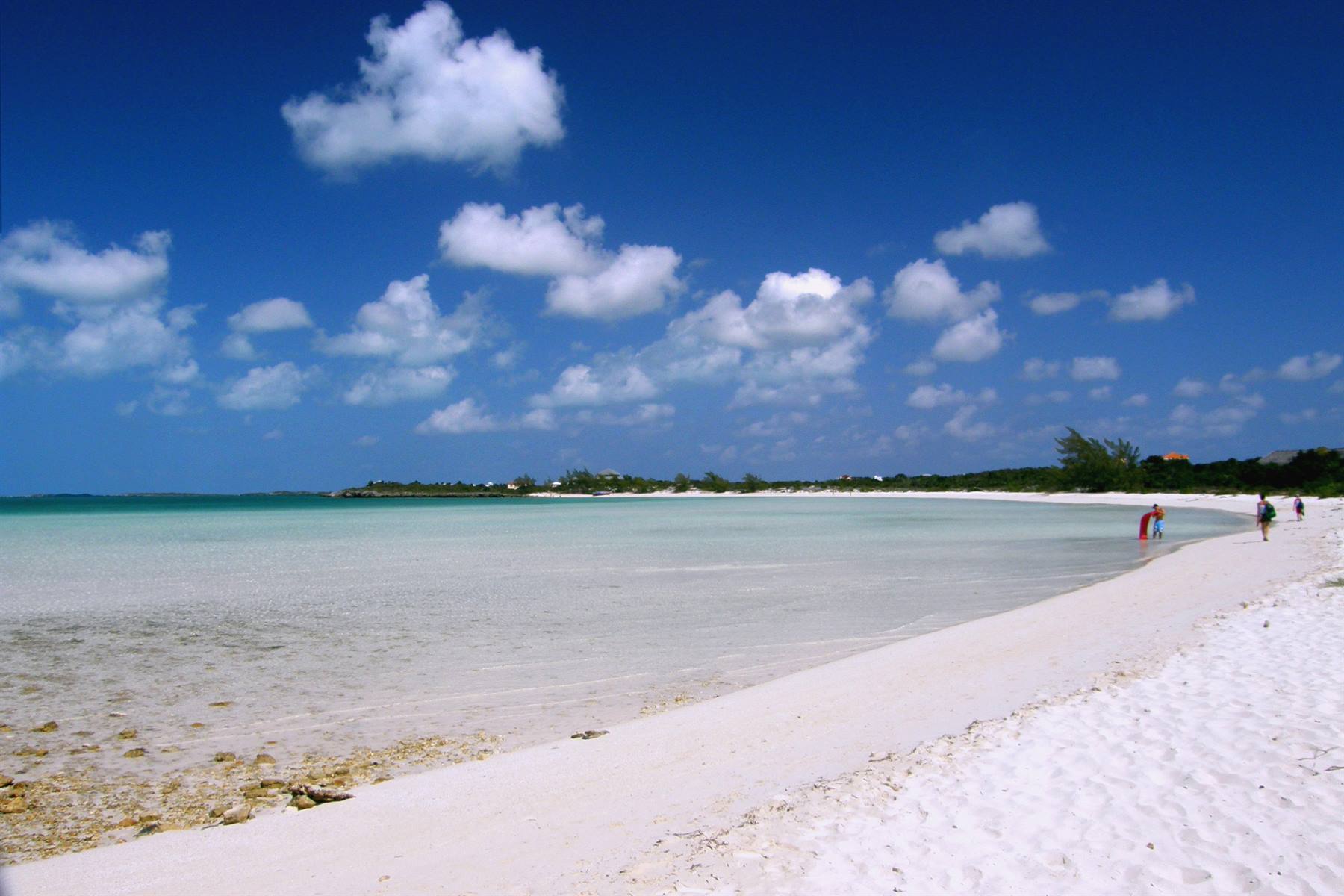 Taylor Bay