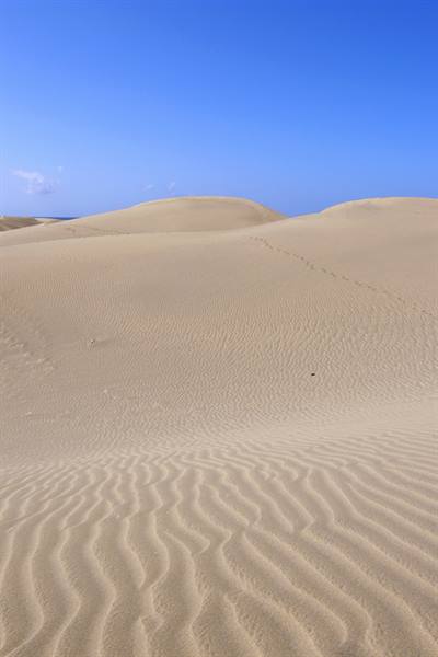Maspalomas Dunes