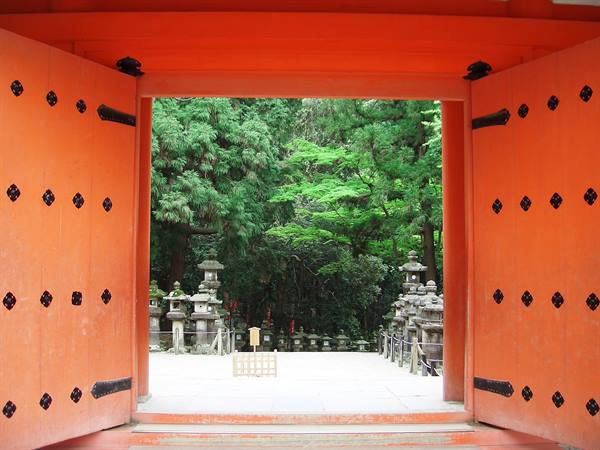 Orange shrine gates open onto stone lanterns among green trees