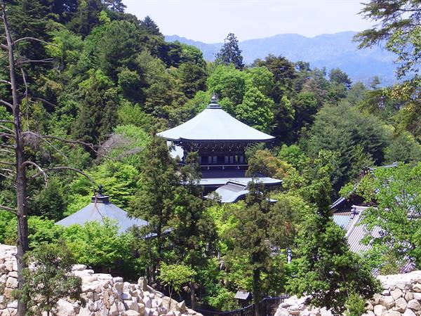 The blue-roofed Konpon Daito pagoda rises among green trees and stone walls, Koyasan