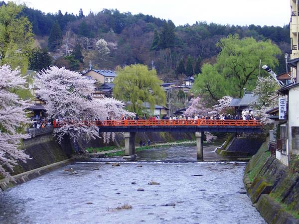 more Takayama