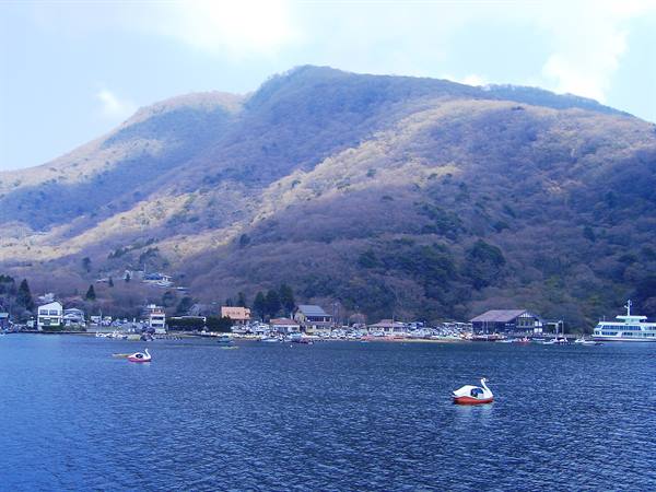 giant swans in Hakone...
