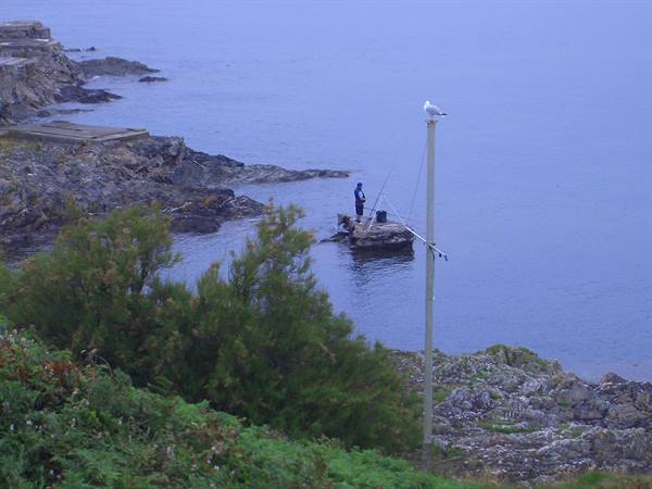 Fisherman on a floating platform by the rocky shore, seagull on a pole