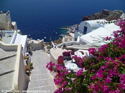White stairway and bougainvillea among whitewashed houses in Oia, Aegean Sea