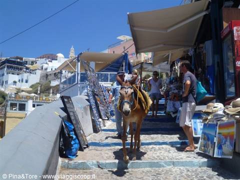 Saddled donkey walking down steps among souvenir shops in Oia