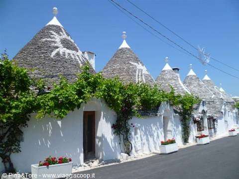 Trulli houses in Alberobello, stone cone roofs with white symbols, blooming vines