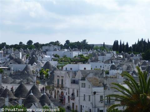 Conical trulli rooftops of Alberobello among white houses and cypresses