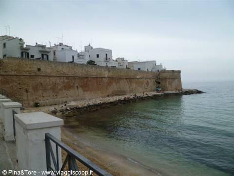 MONOPOLI