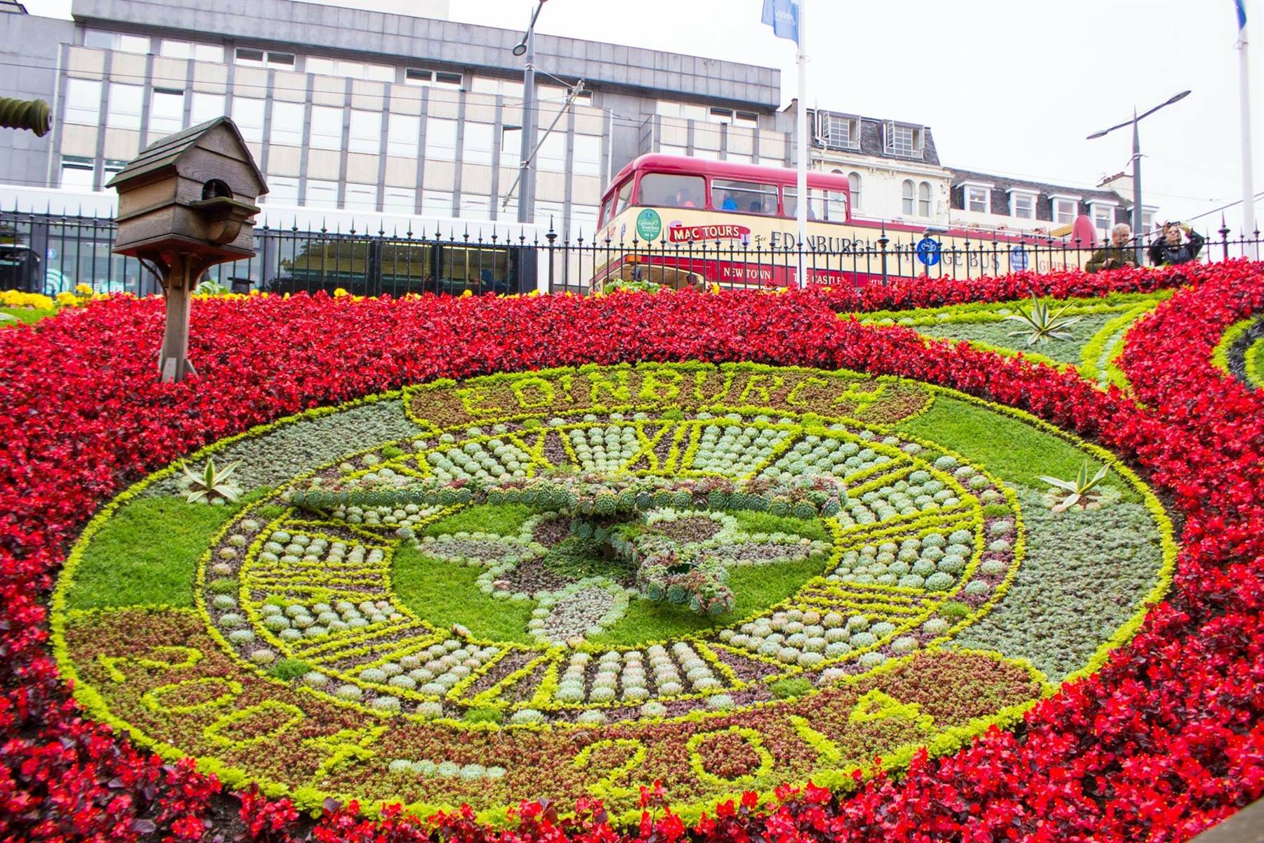 Orologio floreale di Edinburgh con piante succulente, fiori rossi e autobus a due piani