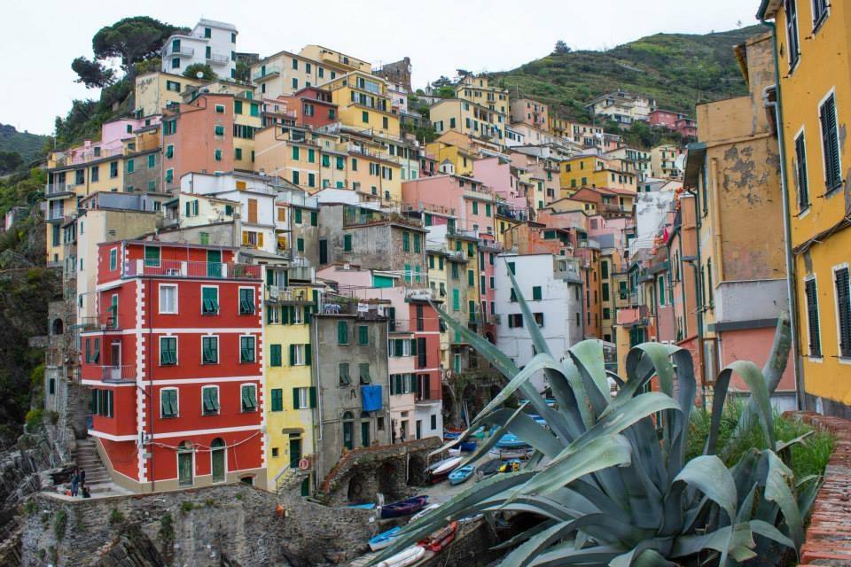 Riomaggiore: case colorate in collina, agave in primo piano, barche nel porticciolo