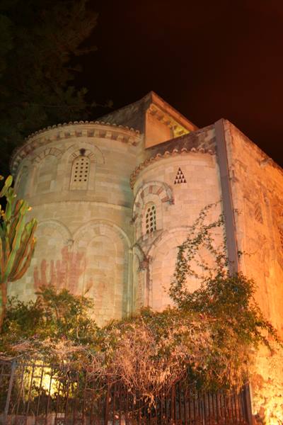 Romanesque stone apse lit at night, with climbing plants and cactus
