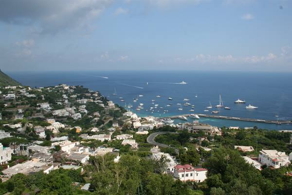 White houses on green slope above harbor full of boats, blue sea
