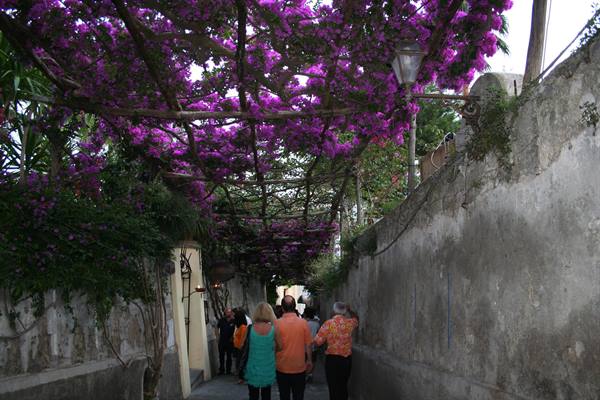 Tourists walk under a purple bougainvillea pergola between old walls