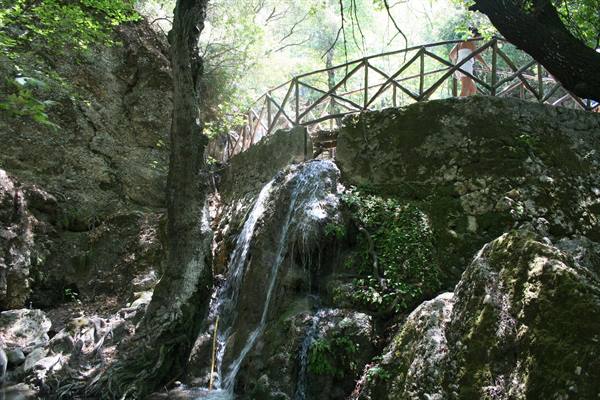 The Valley of the Butterflies (RHODES)