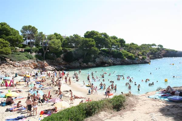 Swimmers and umbrellas on white sand, turquoise water between pines and rocks