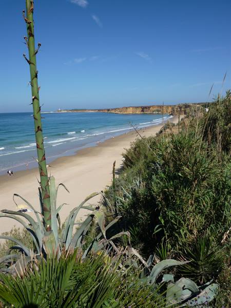 Glimpse of the beach of Conil de la Frontera