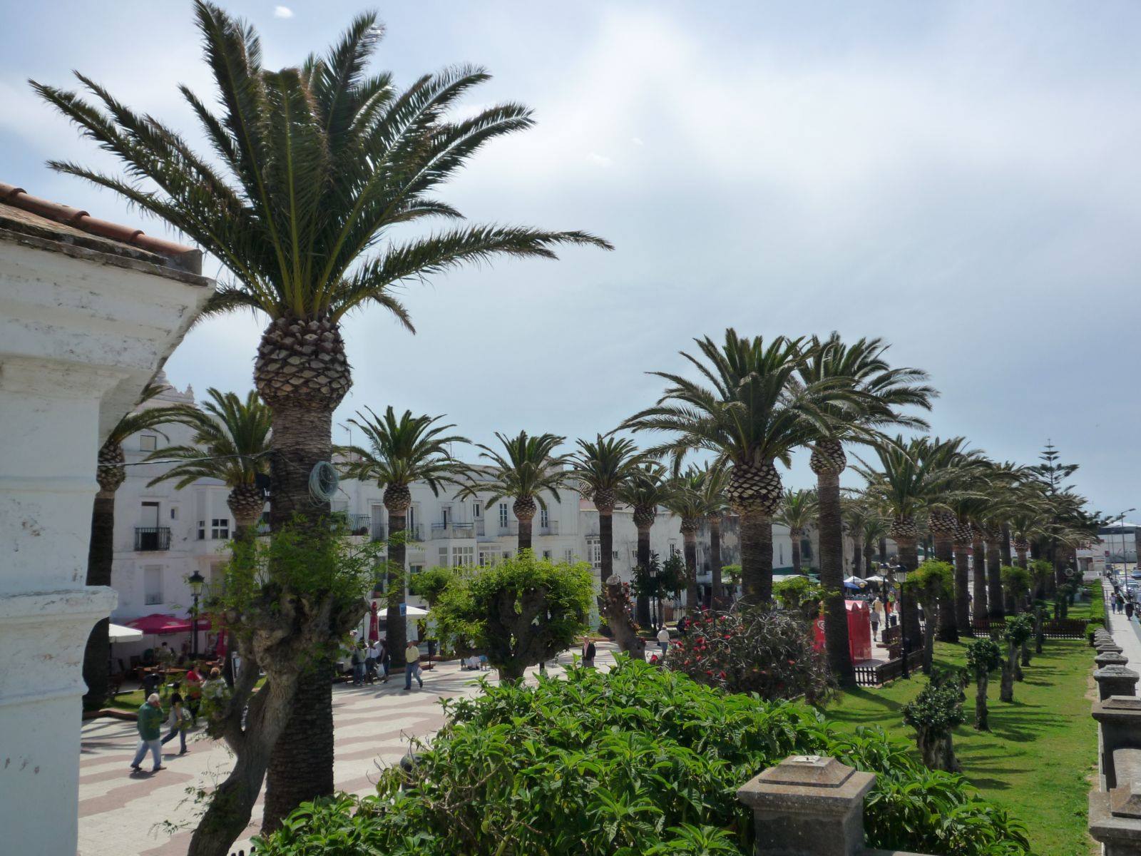 Tarifa