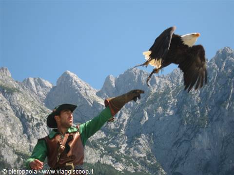 Falconer in leather glove releases a bald eagle before rocky peaks