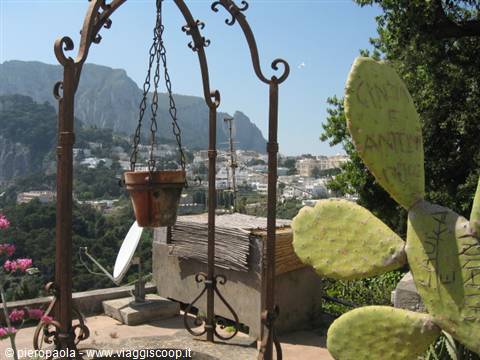 Wrought iron arch with hanging pot, prickly pear cactus and Capri's faraglioni behind