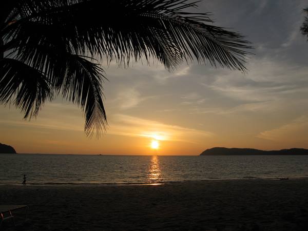 Backlit palm fronds over the beach, low sun reflecting on the sea