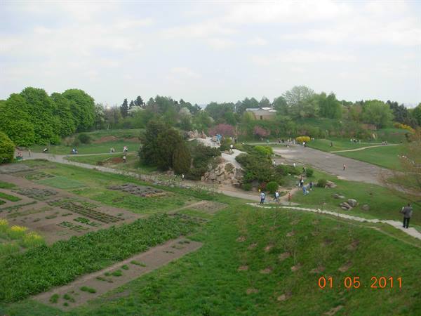 botanical garden