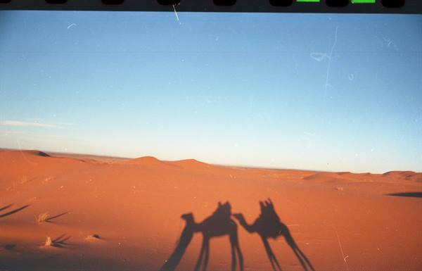 Sahara desert