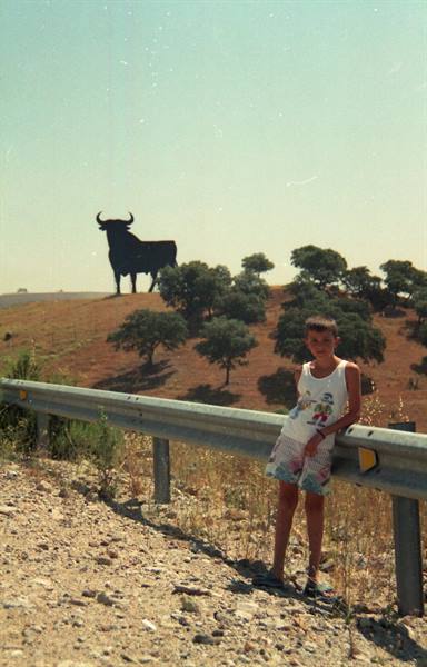 Marbella - bull in the distance