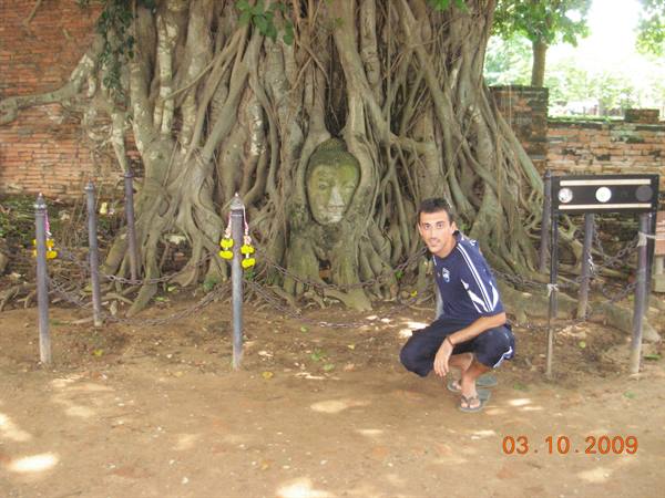 Ayutthaya - Buddha among the roots