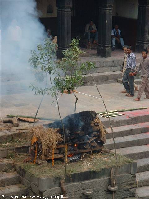 Cremation on a smoky wood pyre at the Pashupatinath ghats