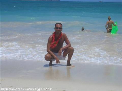 Man crouching on the shore wearing a red flower lei, swimmers behind