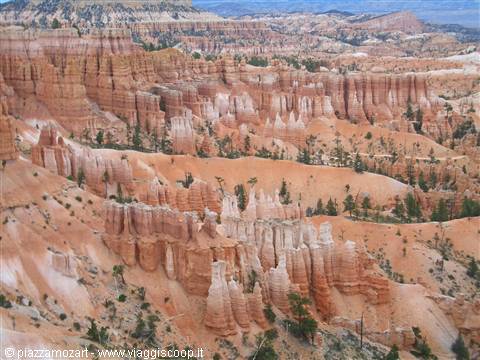 Orange and white hoodoos of Bryce Canyon amphitheater among pine trees