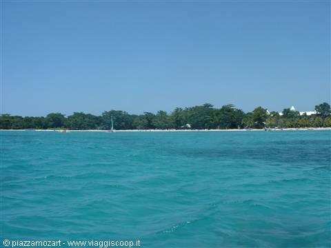 Turquoise lagoon with white sail and palm-lined beach