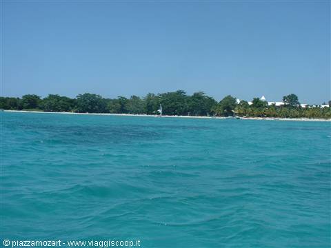 Turquoise sea in front of a beach with palms and green trees, blue sky