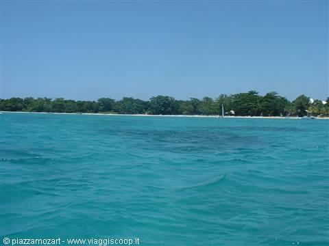 Turquoise waters in front of Negril's palm-fringed beach