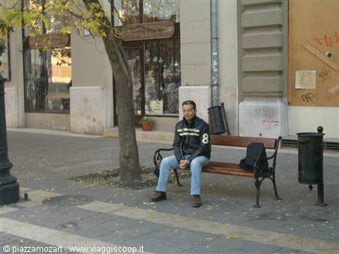 Man sitting on a wooden and cast-iron bench along a tree-lined street