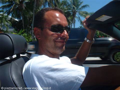 Smiling man in sunglasses driving a convertible among palm trees