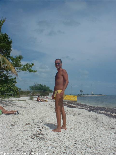 Man in yellow trunks standing on shell beach with palms and sea
