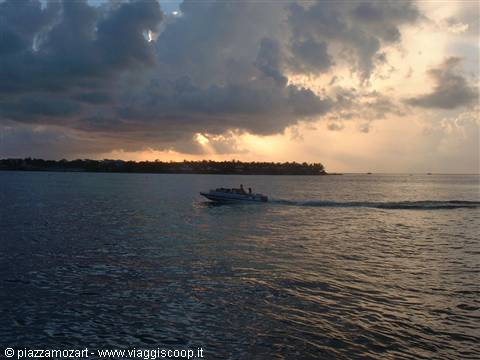 Motorboat crossing calm sea under golden clouds, palm-lined shore in background