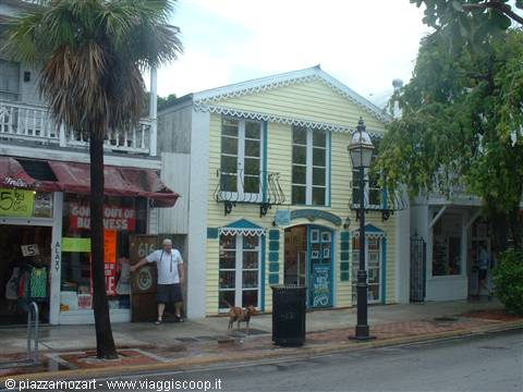 Man with dog beside a yellow and turquoise wooden shop, palm tree, Key West