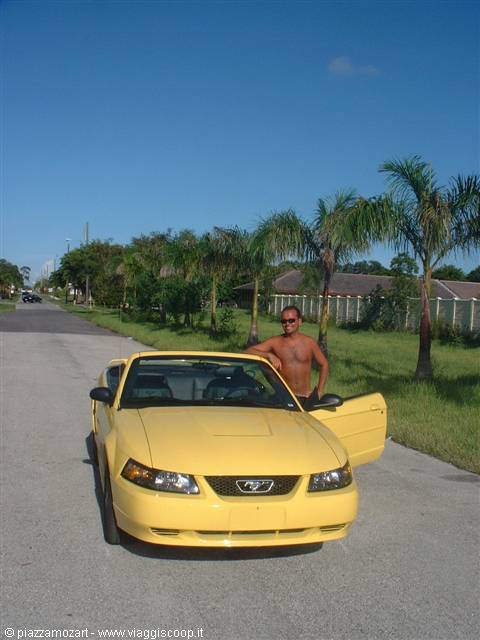 Shirtless man beside a yellow Mustang convertible on a palm-lined road
