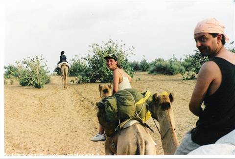 Tourists riding camels loaded with green bags among sandy bushes, smiling man in bandana