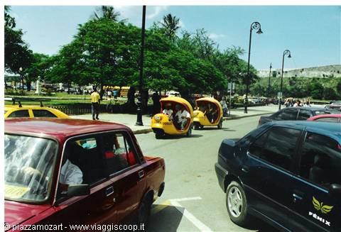 Yellow coco taxis parked along busy road with cars and green trees