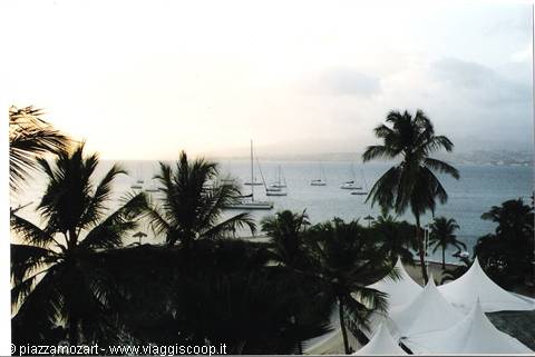 Palm trees and white tents overlooking a bay with anchored yachts, golden light